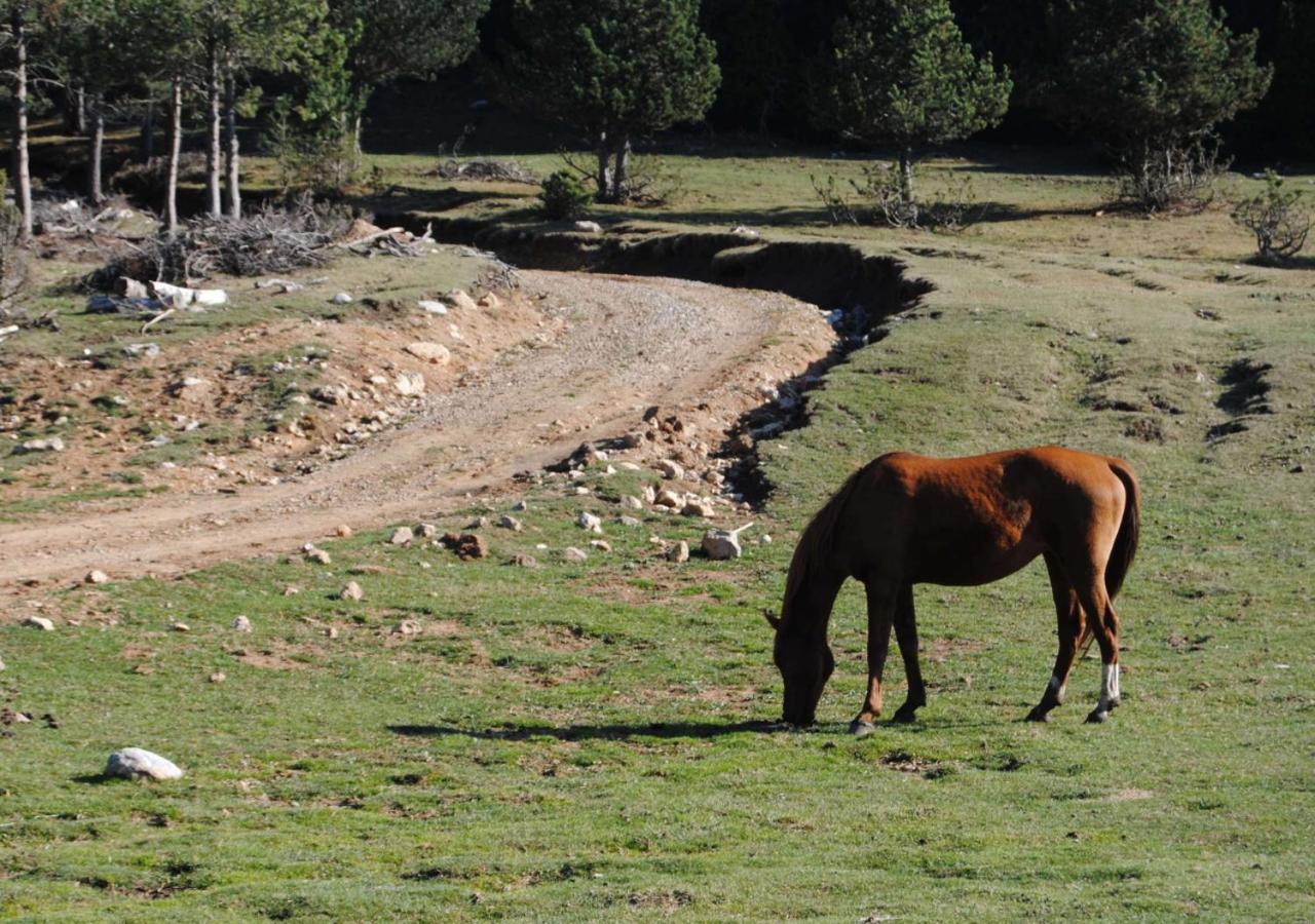 Apartamento Con Encanto En El Pirineo La Pobla de Lillet Exteriér fotografie